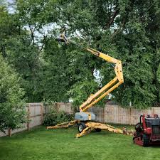 Best Firewood Processing and Delivery  in Coram, NY